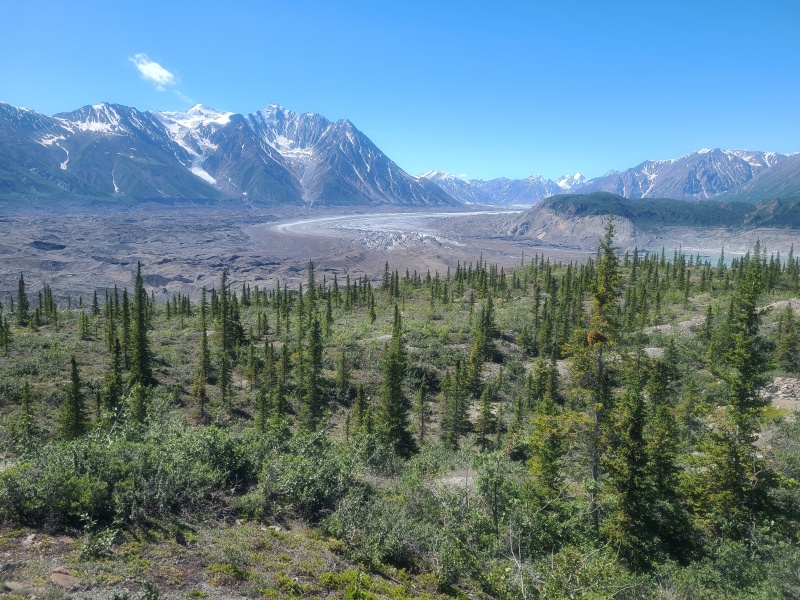 Kaskawulsh Glacier
